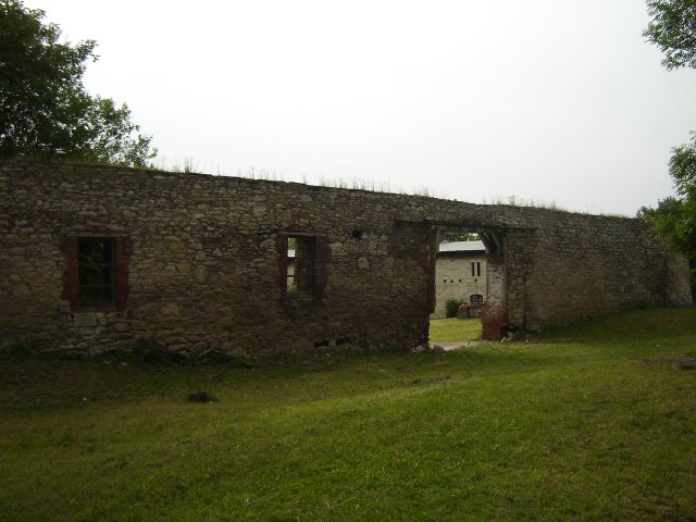 DSC03018